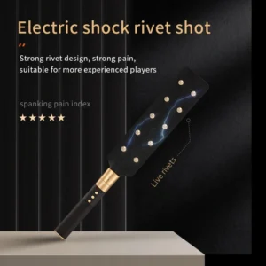 BDSM Paddle，BDSM Cane，Bondage Paddle，ZW-026 Electric shock rivet shot (1)