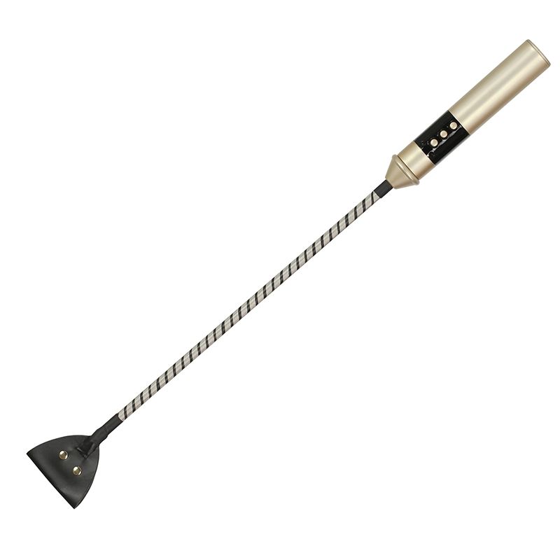 Electric Whip，BDSM Electric Whip，Sex Electric Whip (3)