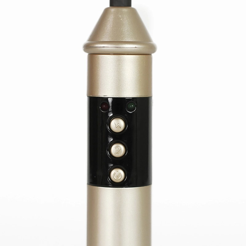 Electric Whip，BDSM Electric Whip，Sex Electric Whip (6)